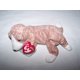 thumbnail image 1 of Peluche Toy Ty Beanie Baby Sniffer the Dog, 1 of 2