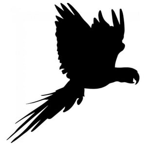 Rienda Libre Graphics - Decomural Parrot Bird Pack Ws-33041