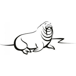 Rienda Libre Graphics - Decomural Walrus Sea Animals Ws-15924