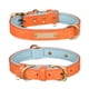thumbnail image 1 of Collar de cuero para gatos con hebilla ajustable, collar para mascotas pequeñas para gatitos, 1 of 5