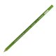 thumbnail image 1 of Lápiz de colores Prismacolor Spring Green, 1 of 2