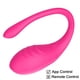 thumbnail image 1 of Wireless Bluetooth G Spot Dildo Vibrator for Women APP Remote Control Wear Vibrador Egg Clit Female Panties Sex Toys for Couple, 1 of 5
