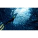 thumbnail image 2 of Videojuego ABZU de 505 Games (PS4), 2 of 5