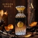 thumbnail image 2 of Perfume AROMA CONCEPTS Ginger Babe EDP 100 ml Unisex, 2 of 4