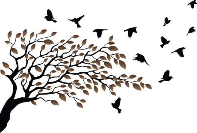 Rienda Libre Graphics - Decomural Birds Tree Brown Autumn Leaves Ws-46648