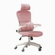 thumbnail image 1 of Silla De Escritorio Ergonómica Rosado Be Design Pro-Soporte Lumbar, Malla,100Kg, 1 of 8