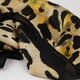 thumbnail image 3 of Pañuelo Largo Tipo Seda De 90x180cm Estampado Animal Print amarillo Talla Única, 3 of 4