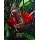 thumbnail image 3 of Paris Corner Ibisco Nirvana Extrait de Parfum 65 ML, 3 of 3