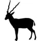 thumbnail image 1 of Decomural Antelope Wild Animal Pack WS-33191, 1 of 2