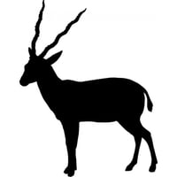 Rienda Libre Graphics - Decomural Antelope Wild Animal Pack Ws-33191