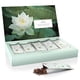thumbnail image 4 of Muestra de té suelto Tea Forte Lotus, 15 sobres, 4 of 9