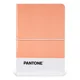 thumbnail image 2 of Libreta Pantone Mediana Con Elástico Horizontal Coral, 2 of 3