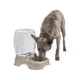 thumbnail image 1 of Dispensador de agua Petmate Pet Cafe para gatos y perros, 11,4 litros, 1 of 7