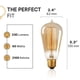 thumbnail image 2 of Bombillas Hudson Bulb Co. Edison incandescente vintage de 60 W, 2 of 9