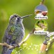 thumbnail image 3 of Silbato de Aves Audubon 6 cm con colofonia incluida, 3 of 7