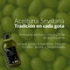 thumbnail image 3 of Aceite de Oliva 3L Extra Virgen Terrasol Bajo en Acidez, 3 of 7