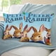 thumbnail image 3 of Peter Rabbit Fundas de almohada de terciopelo con tema, regalos de funda de almohada, decoración para el hogar, cojín de lanzar, regalo de cumpleaños para fans y parejas.61*61cm., 3 of 6