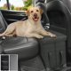 thumbnail image 1 of Asiento para mascotas LIONROGE, capacidad hasta 91 kg, con almacenamiento y plegable, 1 of 7