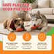 thumbnail image 4 of Juguete de masticar para perros Baba Buddies 20 cm Pata de pavo 5 en 1, 4 of 8
