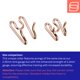 thumbnail image 3 of Collar de entrenamiento para perro Herm Sprenger de 43 cm (Curogan) con cadena de 20 cm, 3 of 6