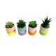 thumbnail image 2 of Planta Artificial Suculenta 13 cm Producto Surtido, 2 of 4