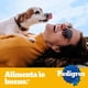 thumbnail image 3 of Alimento Seco Perro Adulto Raza Mediana/Grande Carne Bolsa., 3 of 10