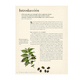 thumbnail image 2 of 50 Plantas Que Han Cambiado El Curso De La Historia, 2 of 6