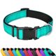 thumbnail image 1 of Collar reflectante PWOD para perro, color verde azulado, acolchado de neopreno, ajustable, talla M, 1 of 6