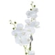 thumbnail image 3 of Planta Decorativa Artificial Orquidea Maceta Cono, 3 of 4