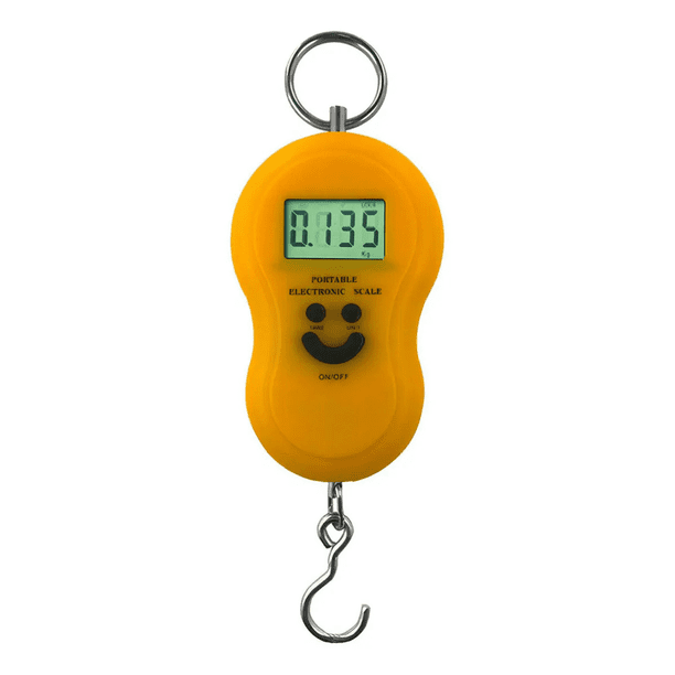 Mini Balanza Electrónica Portátil Capacidad Máxima 50kg
