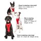 thumbnail image 5 of Arnés para perros Kurgo Enhanced Strength Tru-Fit Smart Black Large, 5 of 6