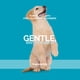 thumbnail image 4 of Champú para perros Bark2Basics Sensi-Skin hipoalergénico 3,78 L, 4 of 7