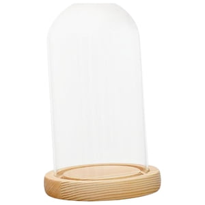 Bothyi - Soporte De Cubierta De Cúpula De Vidrio Transparente Con Decoración De Almacenamiento De Exhibición De Base De Madera 12X25Cm