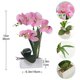 thumbnail image 2 of Orquídea FuleHouzz 39 cm Rosa con Jarrón de Cerámica, 2 of 6