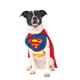 thumbnail image 2 of Disfraz de mascota, rubíes, superhéroes de DC Comics, Superman Small, 2 of 5