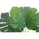 thumbnail image 2 of Planta Artificial Tortuga Decorativa Adorno Verde Jhn, 2 of 3