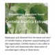 thumbnail image 3 of Set de Esencias Layering mixsoon No.1 Soondy Centella Asiática, 3 of 7