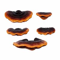 Bothyi - Lindo Colgante Decorativo Para Diseños De Escenas Artesanales De Micropaisaje Diy