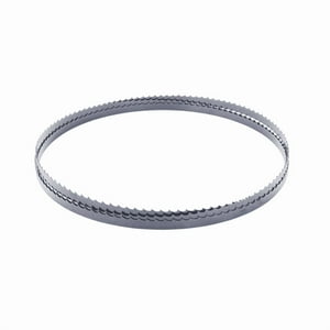 Repuesto Sierra Huincha Hbs25 1400Mm 10Mm 4Tpi - Scheppach