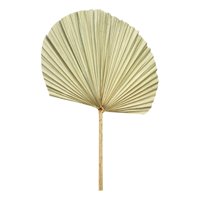 Genérico - Set De 3 Abanico Grande Hojas Palma Natural Decoración Jhn