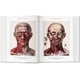 thumbnail image 5 of Biblioteca universal - Atlas of human anatomy and surgery, 5 of 17