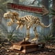 thumbnail image 2 of Set de bloques de construcción Fósil de Tyrannosaurus rex Myth Qholve, 2 of 7