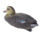thumbnail image 3 of Plástico pato pato se?uelo flotante pato drake se?uelo para la caza y la pesca # 2, 3 of 3
