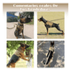 thumbnail image 5 of Arnés Táctico Belug Con Forma De Coraza Para Perro Grande Y Median Talla Del Arnés M Caqui, 5 of 5