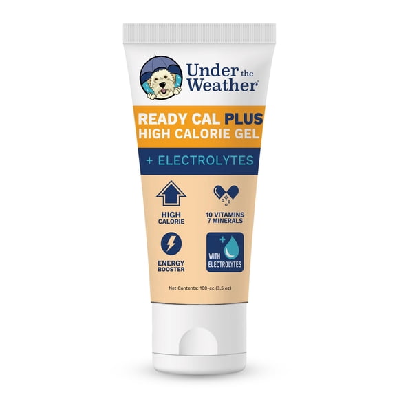 Gel De Electrolitos Para Mascotas Ready Cal Plus 100 Ml