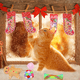 thumbnail image 4 of Juguetes navideños para gatos, calcetines navideños surtidos, paquete variado, juguete interactivo navideño para gatos de interior y gatitos., 4 of 5