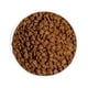 thumbnail image 5 of Alimento para gatos Kitten 4 Kg, 5 of 6