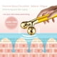 thumbnail image 3 of Kit de masajeador facial Amire Golden 3D Roller Electric Facial, 3 of 8