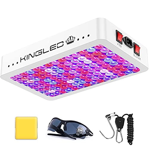 Luz LED Grow Light King Plus de 1200 W de espectro completo para interiores