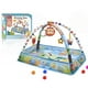 thumbnail image 1 of Gimnasio Centro De Actividades Interactivo Colgante Sonajero, 1 of 5